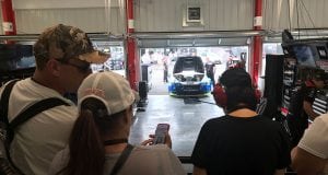 Fangrounds 1