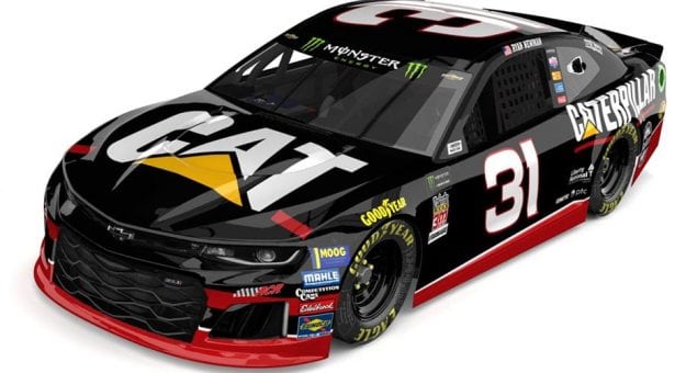Visit No. 31 Throwback Scheme Revealed page