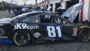 81 Dega