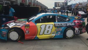 18 Busch