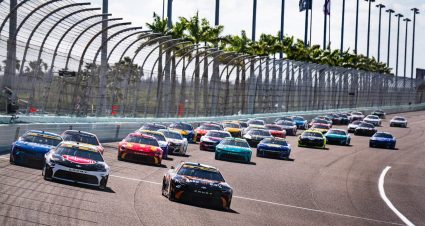 2025 Mar21 What To Watch Homestead.jpg